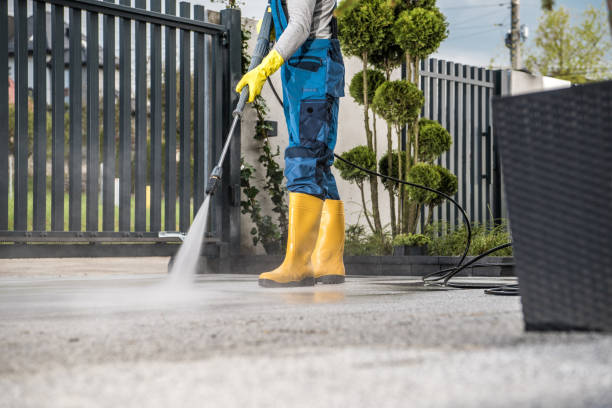 Best Roof Washing  in Nettleton, MS